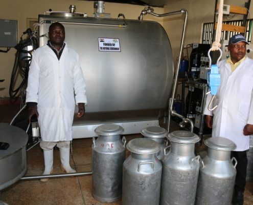 milk coolers in kenya